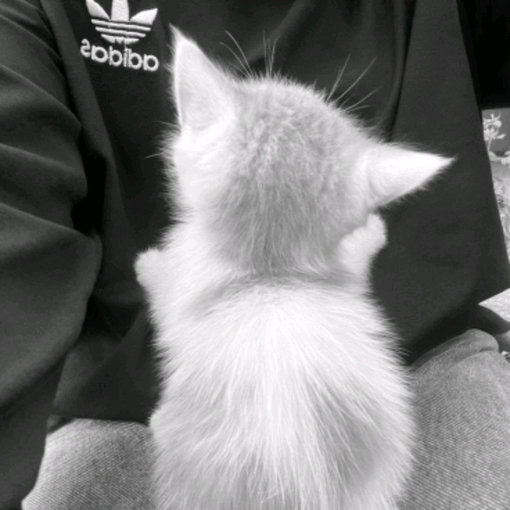 ᴨᴧᴦоʙоᴩиᴛᴇ ᴄ нᴀʍи♫𓆉𓇼