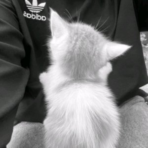 ᴨᴧᴦоʙоᴩиᴛᴇ ᴄ нᴀʍи♫𓆉𓇼