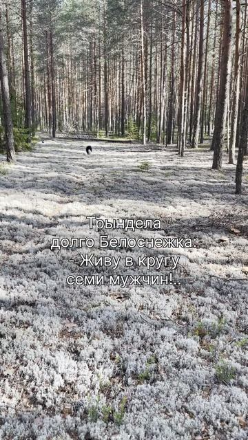 Сказка про Сову.