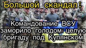 Зеленский устроил голодомор боевым бригадам ВСУ. Живые скелеты на позициях под Купянском