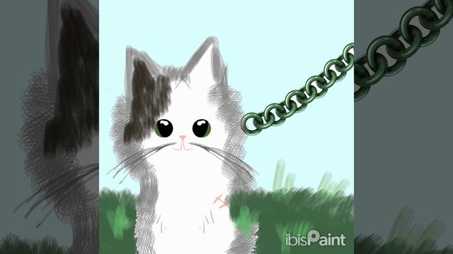 почему такая милашка на цепи?