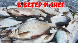 РЫБА ПРЁТ! ВЕСНУ УКРАЛИ! ЭТО СИБИРЬ!