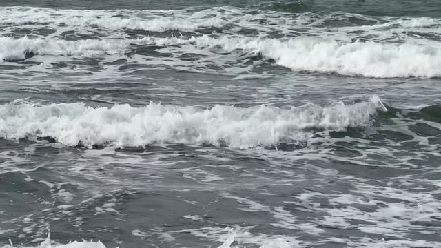 Балтийское море , Пионерский