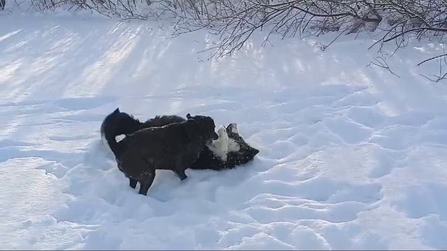 VideoTrim_20251201_201939