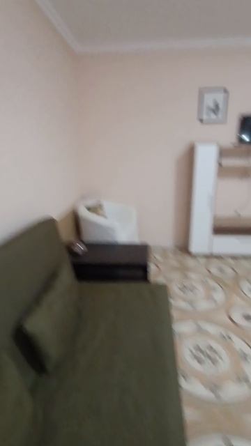 Студия 33 м², 3:16