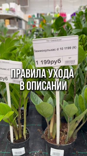 copy_B0EDC8EC-F71A-436F-A914-DEB7AE8A2376