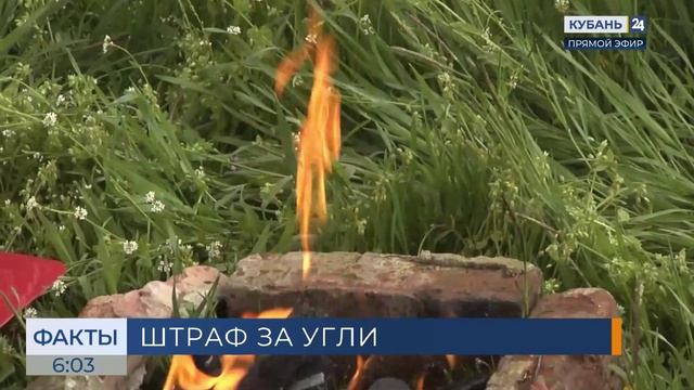 Штраф 50 тыс. рублей грозит за выброс тлеющих углей после шашлыков в России