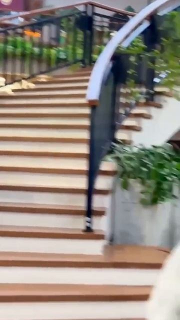 луномосик часть 33 никита и соня