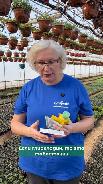 Гибель цветочной рассады.