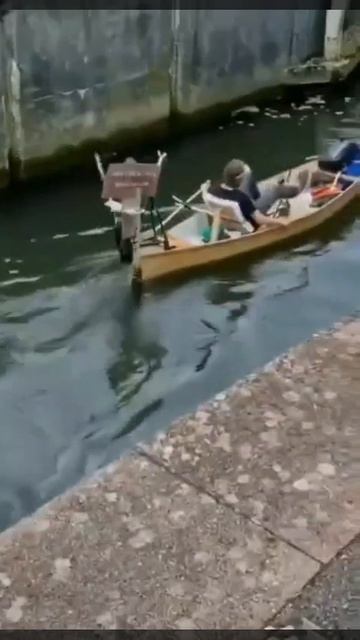 Велокатамаран