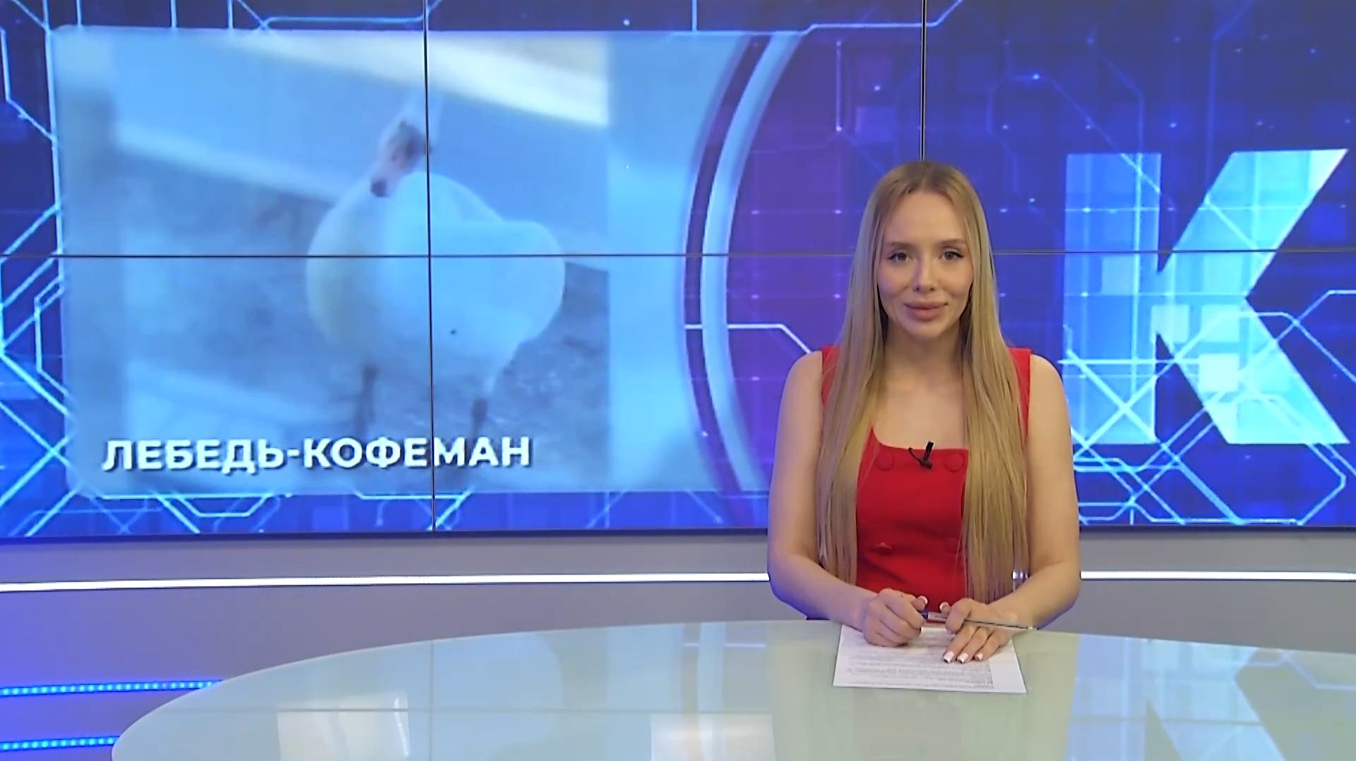 Новости Калининграда — итоги дня, 23 апреля 2026 каскад тв