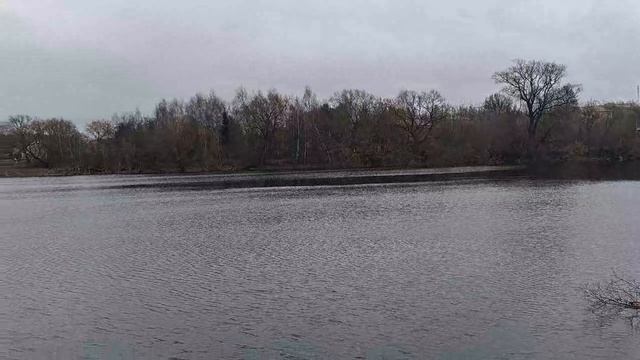 Пруд уточки спрятались дождик мороситсегодня снег