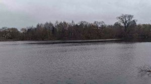 Пруд# уточки спрятались# дождик моросит#сегодня снег🤔