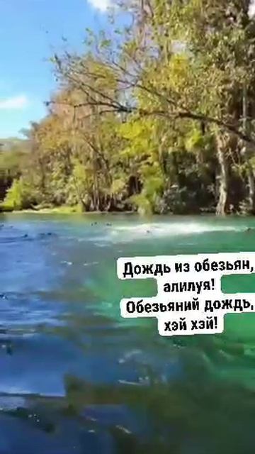 video_2026-03-03_10-10-26