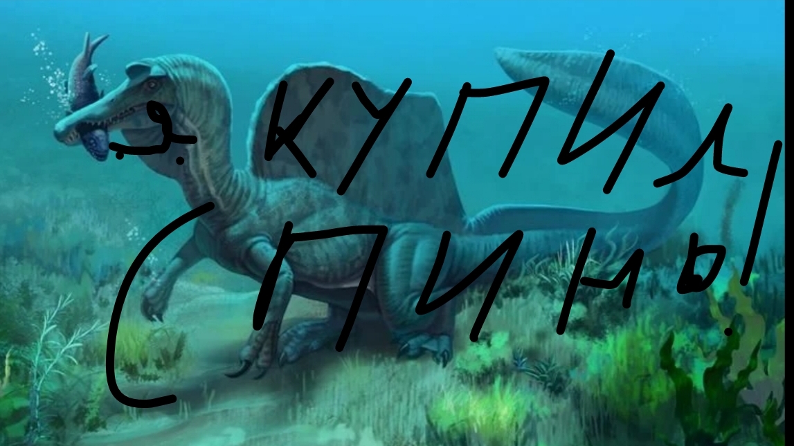 спиныч в колекцыю