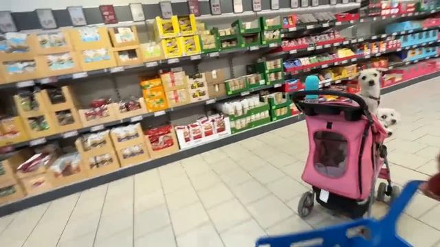 МАРИНА ИВАНОВА- По Бедному- Закупка на ДР