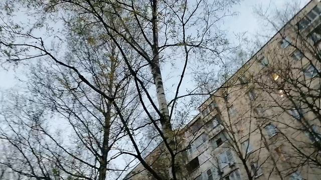 Где взять энергии?  ВНИМАНИЕ НЕ ПИШИТЕ МЕСТНЫМ ТЕТЯМ ПОД ВИДЕО ОНИ БАНЯТ 