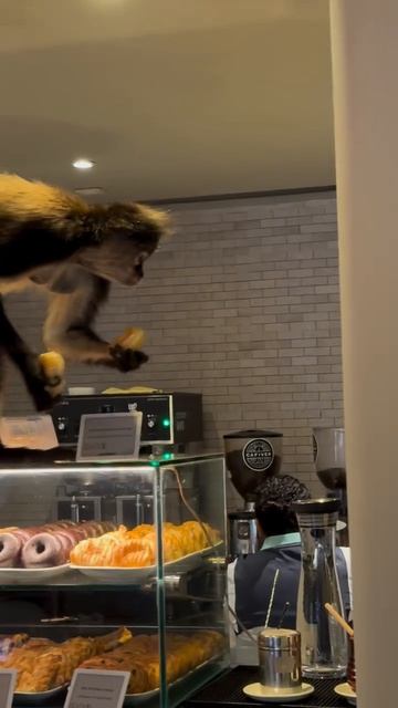 Сначала распробовал