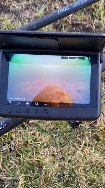 Рыбалка на пруду.