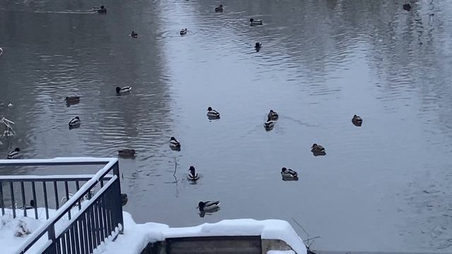 Эта песня заденет вашу душу ДЫШУ ТОБОЙ-ZaLiNa