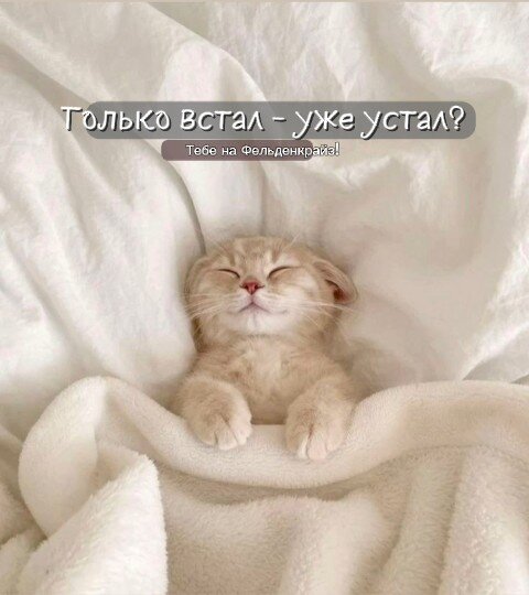 ☕ Утренняя практика по методу Фельденкрайза помогает легче вставать и даёт заряд энергии по неско...