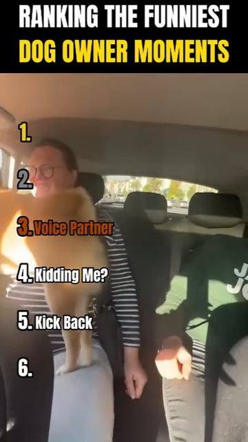 Самые смешные собаки