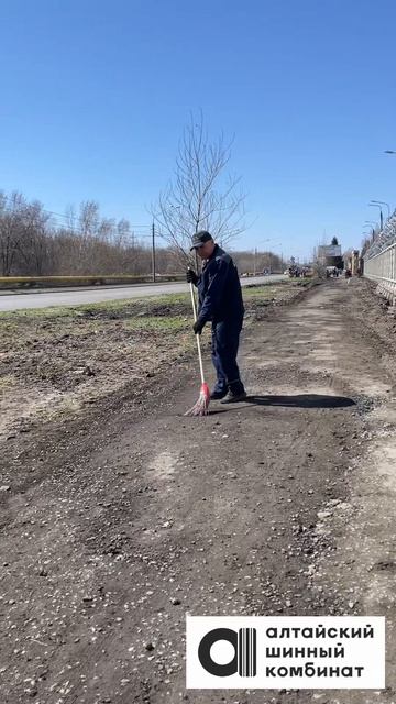 Субботник на Алтайском шинном комбинате: как это было