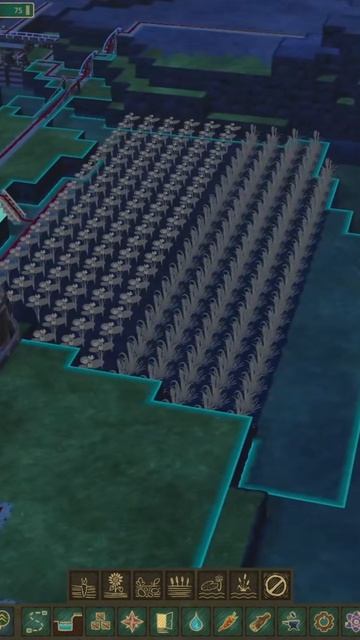 Кубышки и рогоз от водяного фермера