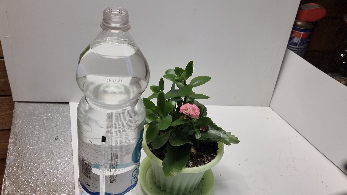 Капельный полив для домашних цветов.