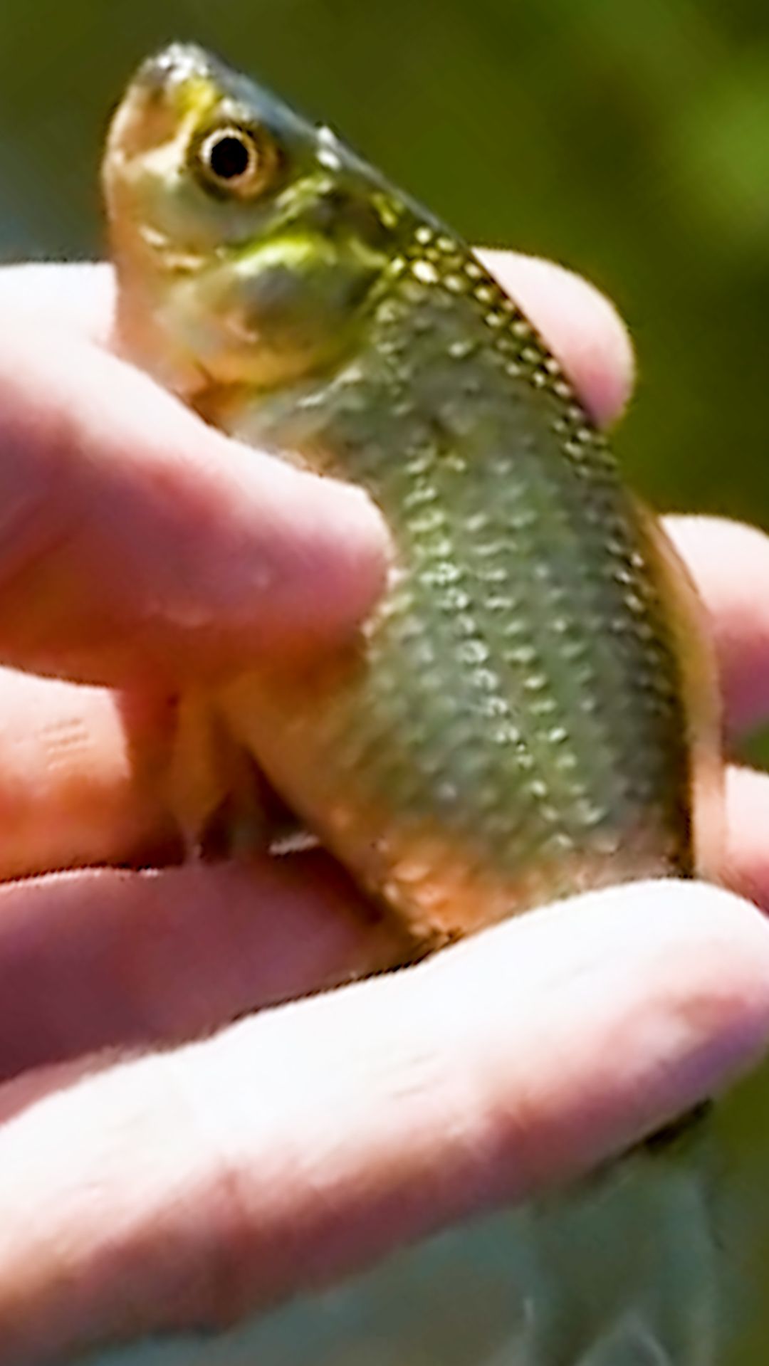 Рыбалка на болоте