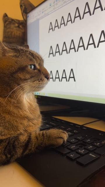 Настроение конца рабочей недели примерно такое…