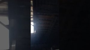1000029864.mp4
