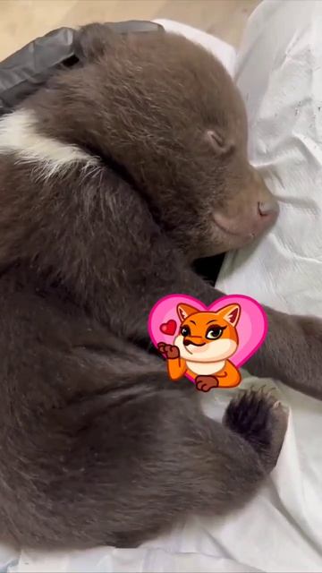 video_2026-03-03_10-06-23