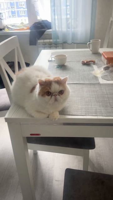 Как мы на Пасху к бабуле ходили 