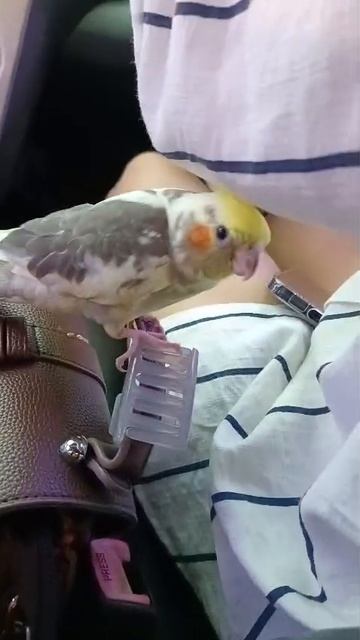 Как у себя дома!