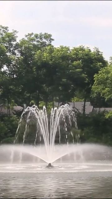 Плавающий фонтан Aqua Control серии Display Aerator с насадкой Super Lily