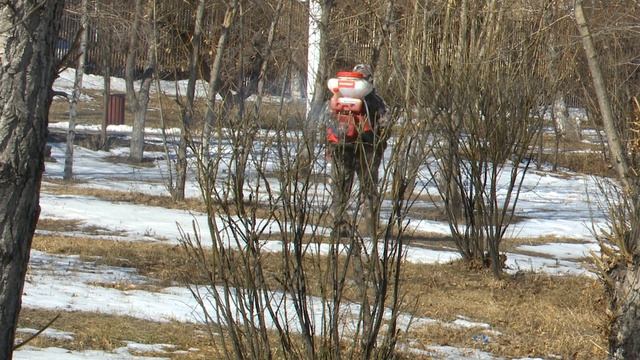 Химикат для обработки территорий от клещей безопасен для людей
