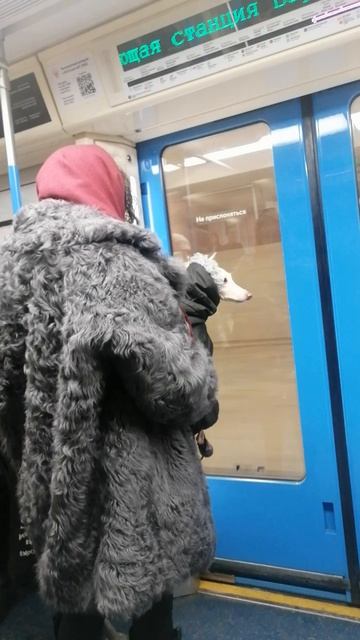 Дама с собачкой