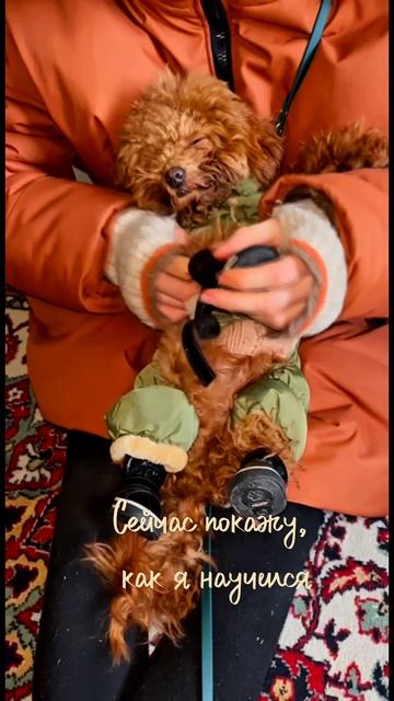 Ботинки. Как я научился ?