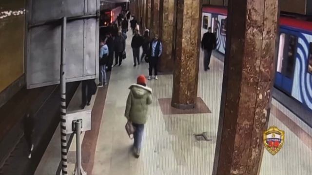 Пассажир в московском метро засмотрелся в смартфон, шагнул с платформы вниз, едва не попал под поезд