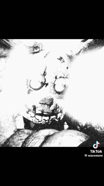 когда задонатил в standoff 2