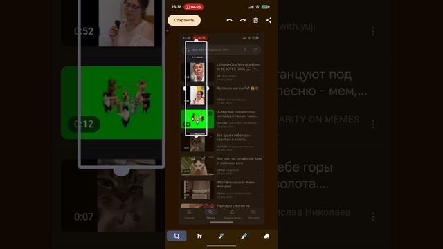 Я просто набрал в поиске Гугла мем-кун-кун...