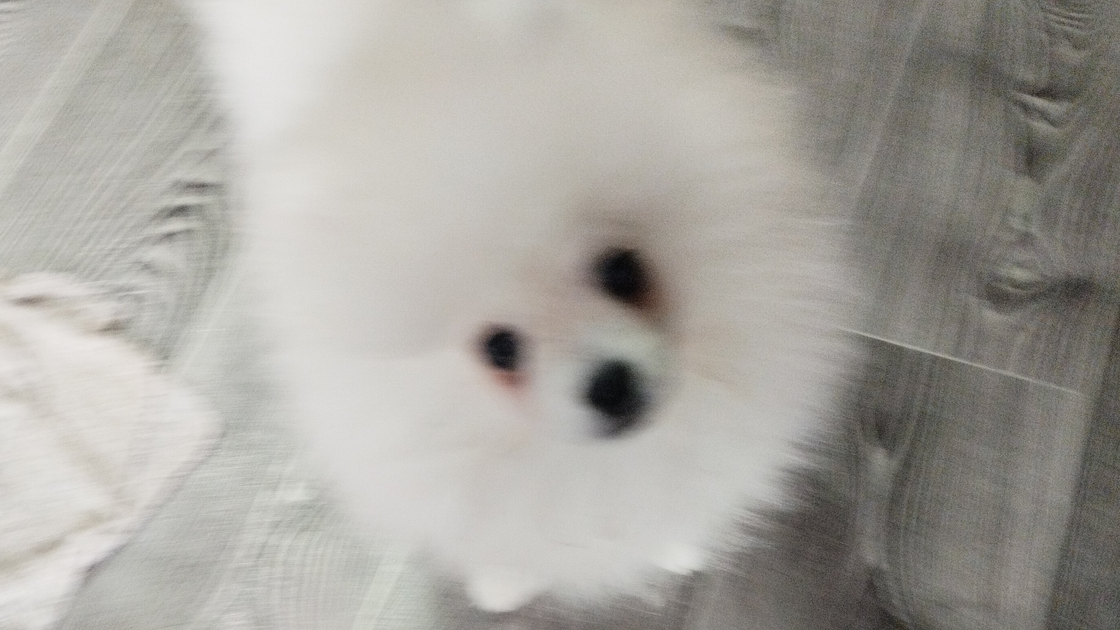 Изгоняем Дьявола (1)