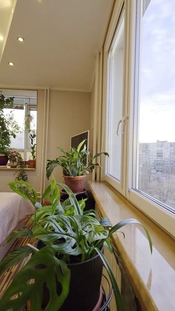 Энтузиастов,  38