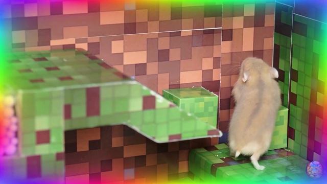 Путешествие хомячка в майнкрафт: сможет ли он покорить блоки?! часть 3