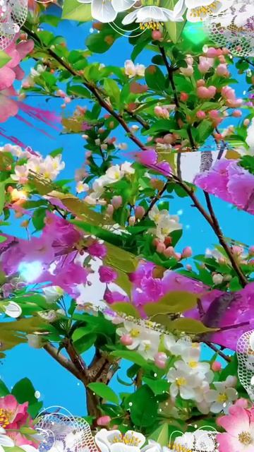 Доброе утро Друзья!