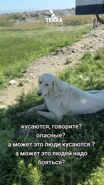 так кто опасен?