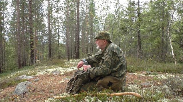 Север, 2022, сентябрь, фильм 4-й. Лес.  О видео. Архив.