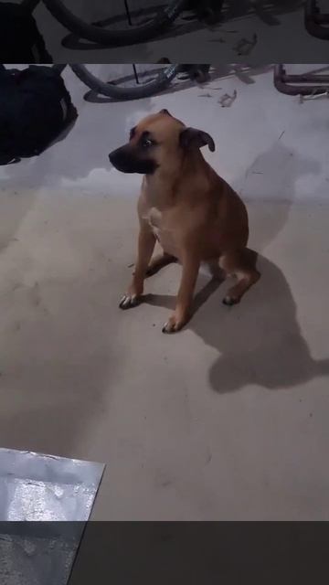 Я на последнем корпоративе