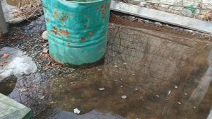 Печальное начало Весеннего сезона